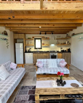 Villa Koca Armut 2